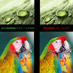 アートポスター バラハート香水ボトル スマイル名言アート ローズフォト 3枚セット 4800 10枚目の画像