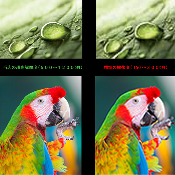 アートポスター バラハート香水ボトル スマイル名言アート ローズフォト 3枚セット 4800 10枚目の画像