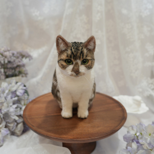 羊毛フェルト オーダーメイドペット 立体・オブジェ 茶薄荷Teanip 通販