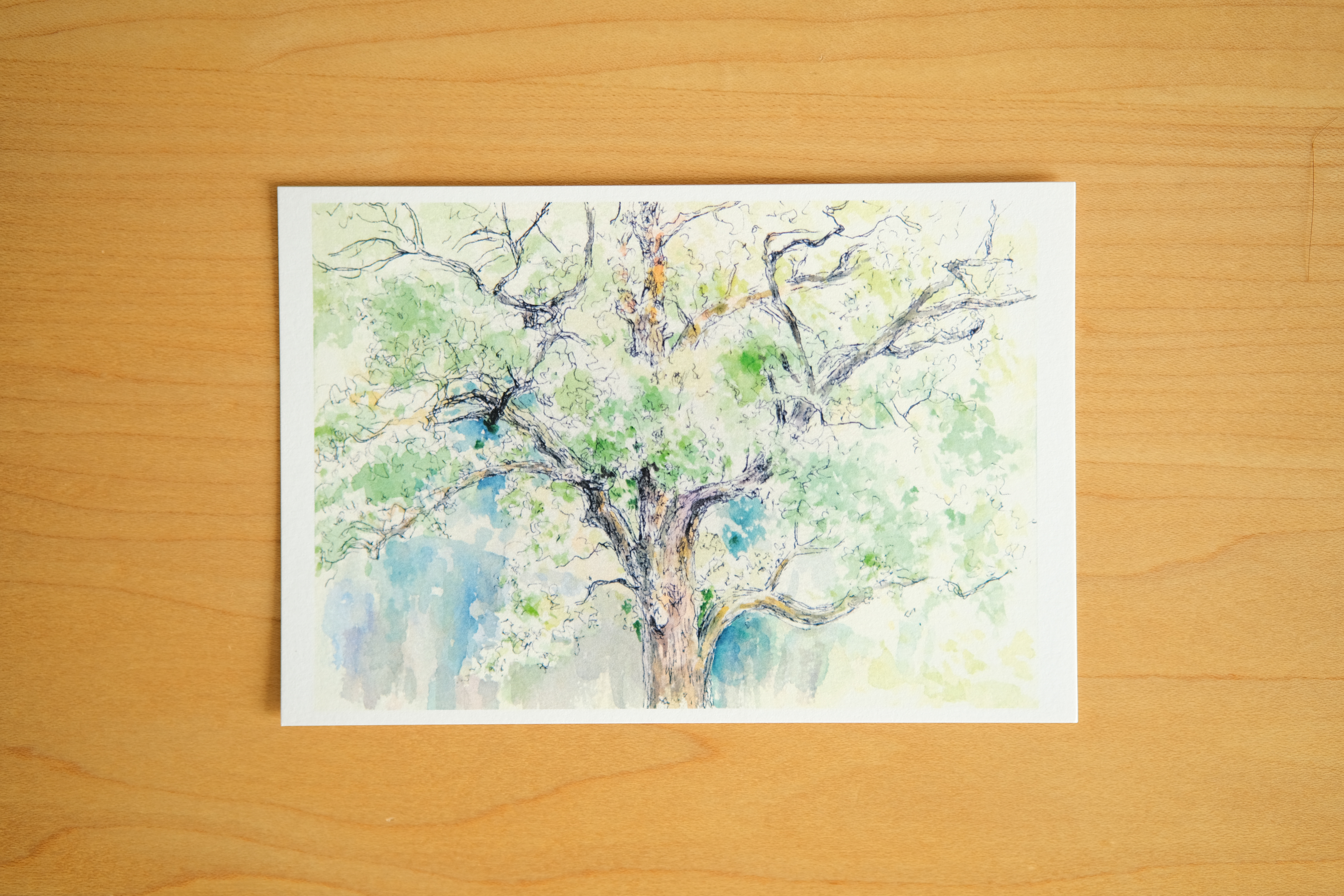 【即日発送】キッズアート 水彩画 ポストカード