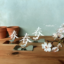 " mebuki " 春の芽吹き 置きタイプ ステンレス 春 芽生え 季節 オブジェ インテリア 雑貨 植物 5枚目の画像