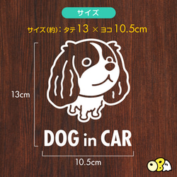 DOG IN CAR/キャバリアA カッティングステッカー KIDS IN CAR・BABY IN CAR・SAFETY 3枚目の画像