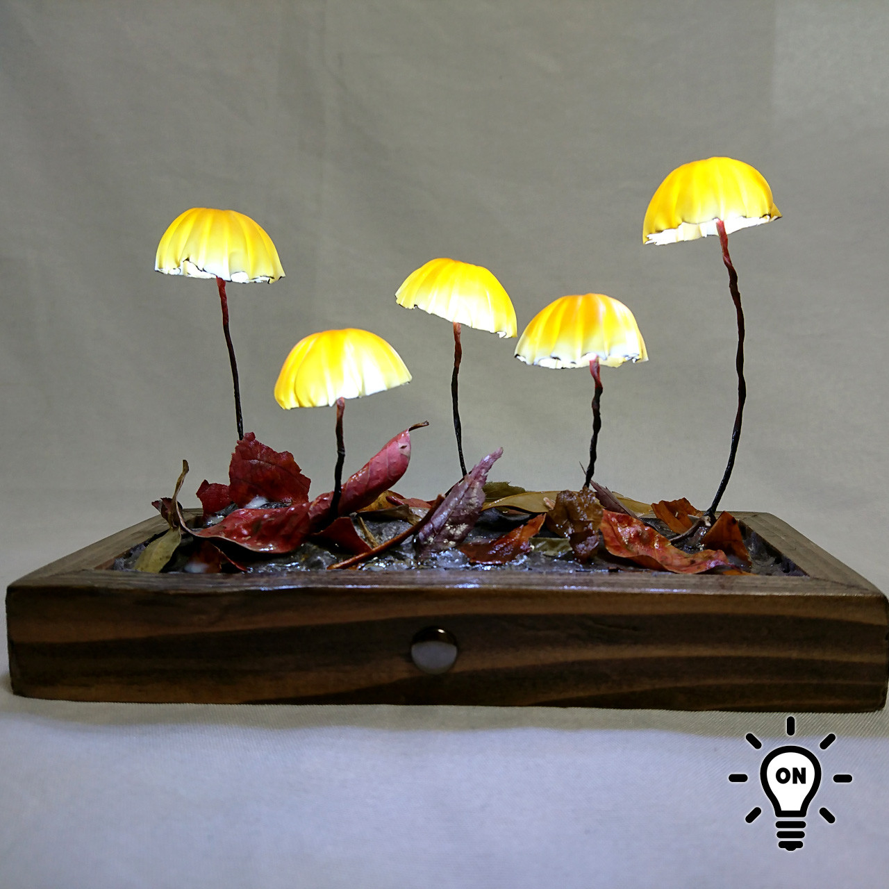 ハリガネオチバタケのランプ10