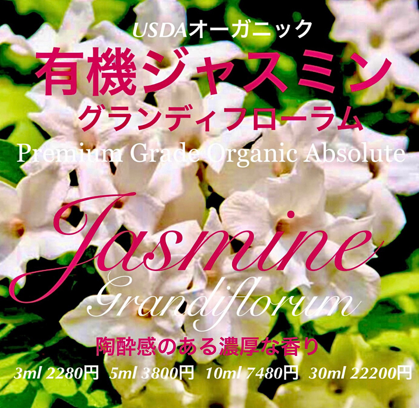 有機ジャスミングランディフローラムアブソリュート10ml
