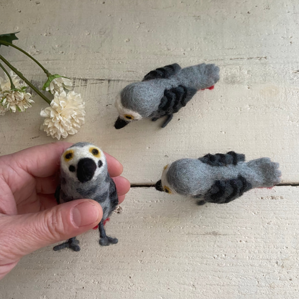 オリジナル ヨウム 鳥 インテリア 置物 ディスプレイ ハンドメイド 1点 2枚目の画像