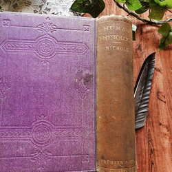 +..。*゜+ 1872年　生理学の教科書　アンティークブック　古書　生物　ヴィンテージ本　洋書　英国　ビンテージ　紫 3枚目の画像