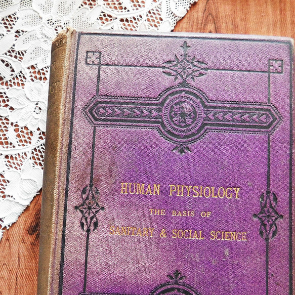 +..。*゜+ 1872年　生理学の教科書　アンティークブック　古書　生物　ヴィンテージ本　洋書　英国　ビンテージ　紫 2枚目の画像