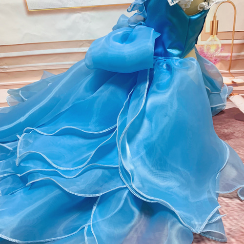 犬猫うさちゃん 大切な日にはスペシャルなドレスを♡シンデレラの