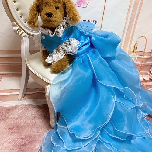 犬猫うさちゃん 大切な日にはスペシャルなドレスを♡シンデレラ
