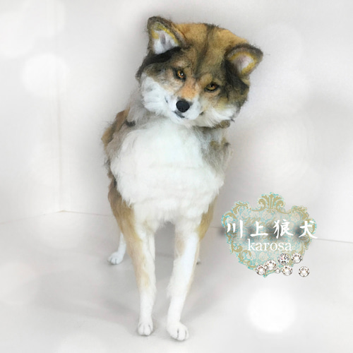 ラグマット アニマル 犬 ウルフ オオカミ カーペット コットン 輸入雑貨 ラグマット アニマル 犬 ウルフ オオカミ カーペット コットン