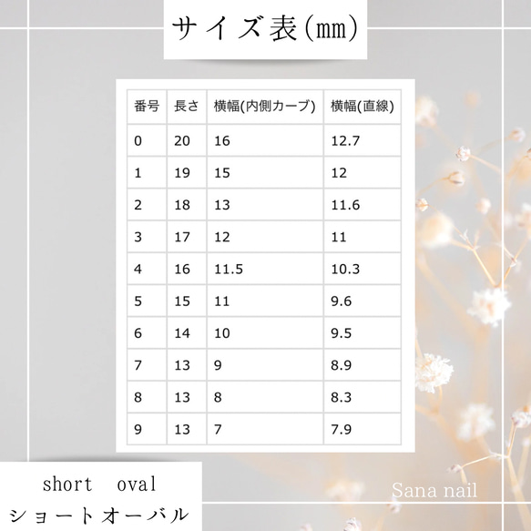 追加オプション 3枚目の画像