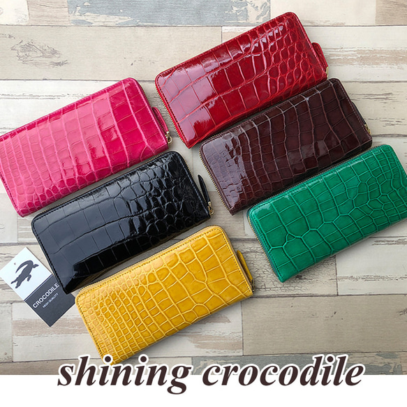 累計販売 500個突破】【rank 特S】シャイニング クロコダイル 累計販売 500個突破】【rank 特S】シャイニング クロコダイル