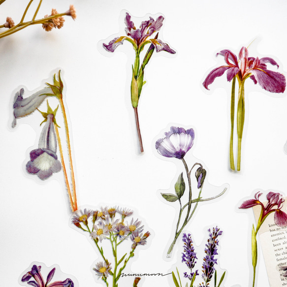 お花のシールセット　30枚　purple garden　[AU431] 3枚目の画像