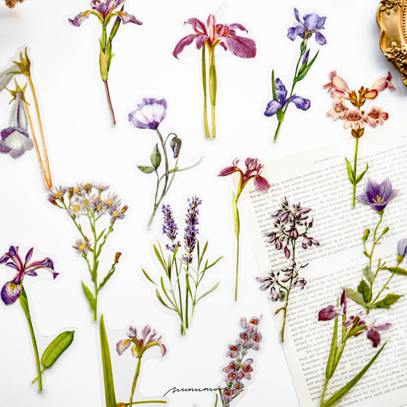 お花のシールセット　30枚　purple garden　[AU431] 5枚目の画像