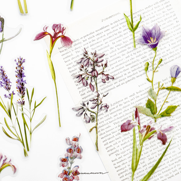 お花のシールセット　30枚　purple garden　[AU431] 4枚目の画像