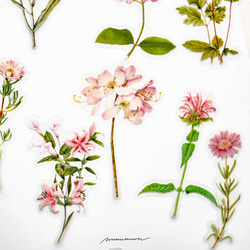 お花のシールセット　30枚　pink garden　[AU432] 2枚目の画像