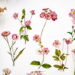 お花のシールセット　30枚　pink garden　[AU432] 4枚目の画像