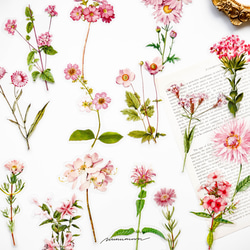 お花のシールセット　30枚　pink garden　[AU432] 5枚目の画像
