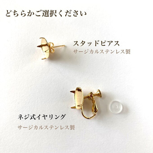 sakura様950イヤリング他サージカルステンレスフック