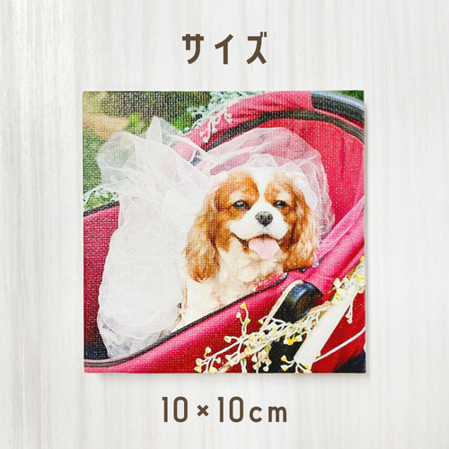 うちの子 キャンバス アート ボード 写真入り 10×10cm イラスト