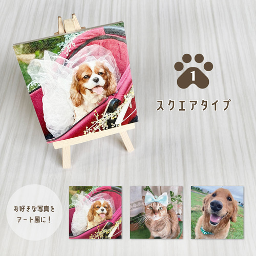 Amazon.co.jp: 数字で描く数字で描く動物の犬のセットアクリル