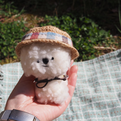 モフ犬＊Marie(マリー)ちゃん 14枚目の画像