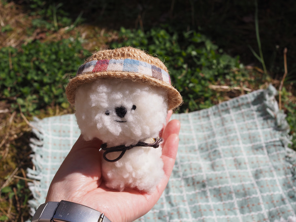 モフ犬＊Marie(マリー)ちゃん 14枚目の画像