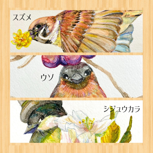 水彩画野鳥ポストカード3枚セット 6枚目の画像