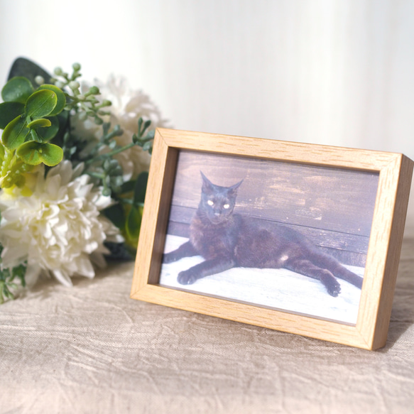 フレームつき写真　石垣島の黒猫 2枚目の画像