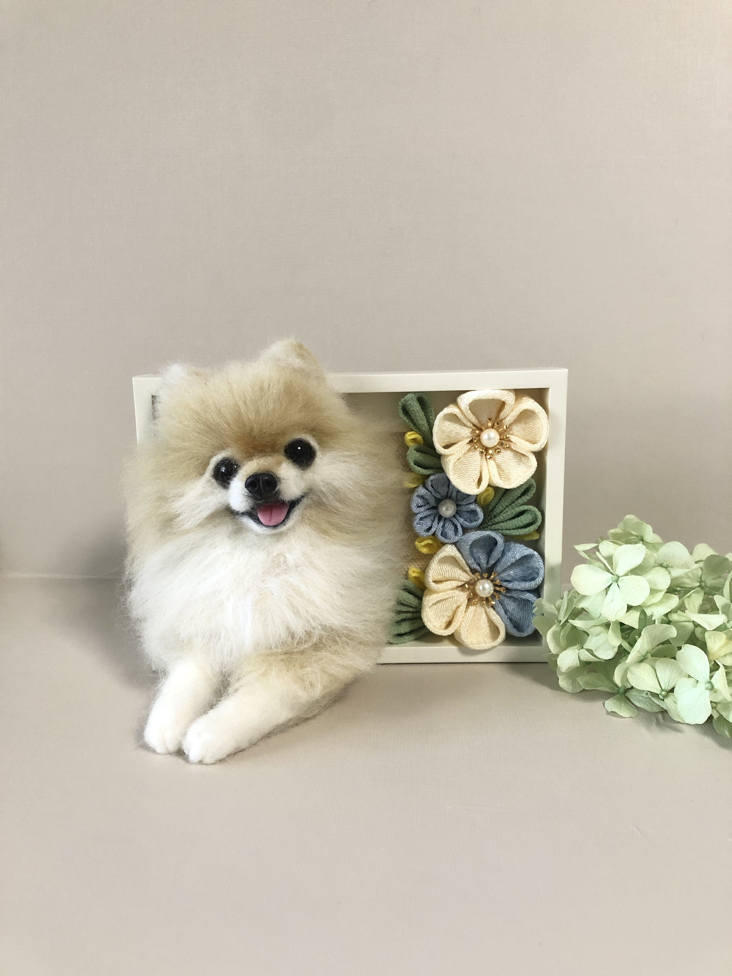 ちびポメラニアンこどもの日(セット) 羊毛フェルト papochi 通販