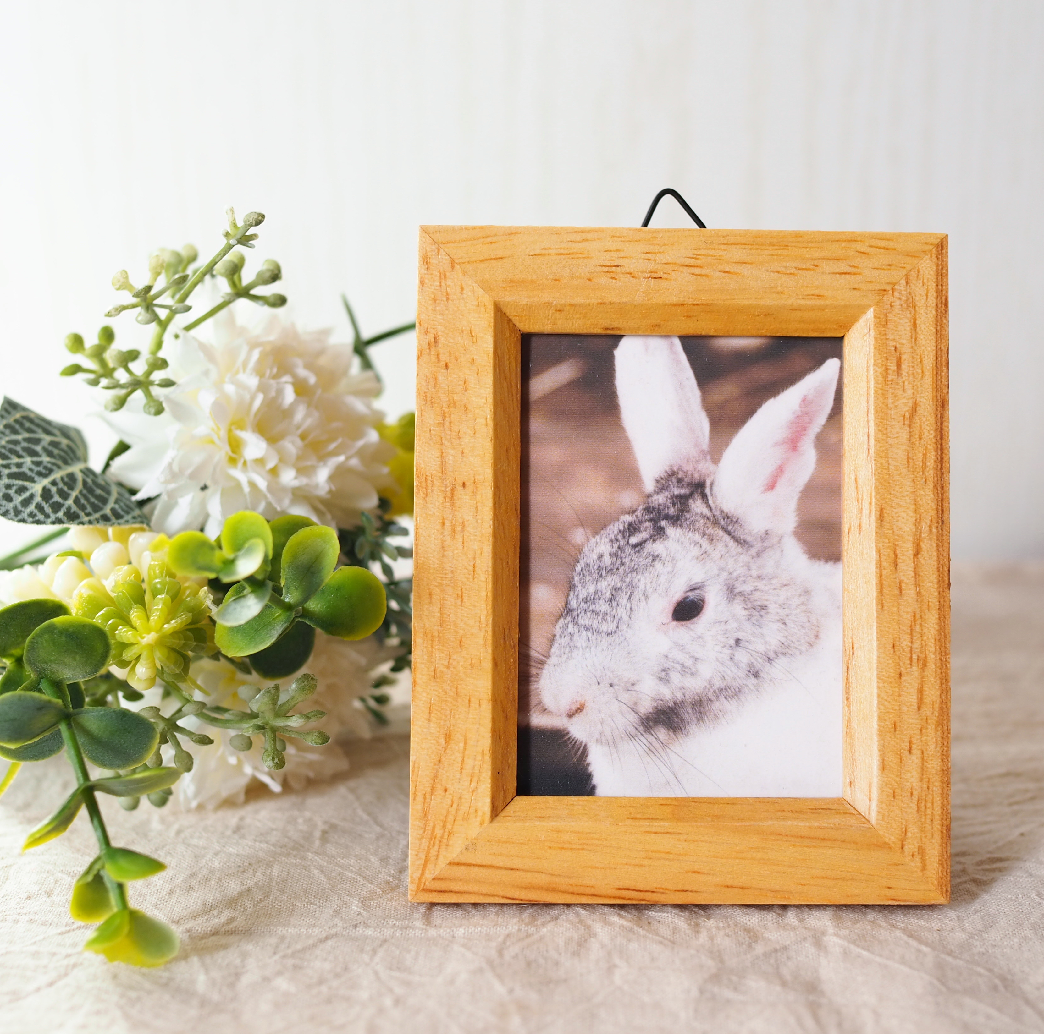 フレームつき写真 うさぎ フォトフレーム・写真立て Hachico 通販