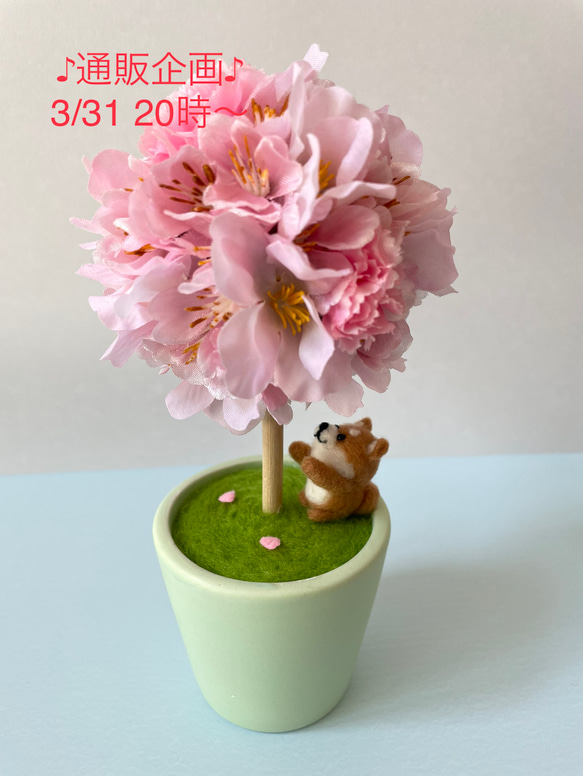 ♪通販企画♪3/31 20時〜販売　『桜ボールミニ　赤柴』 1枚目の画像