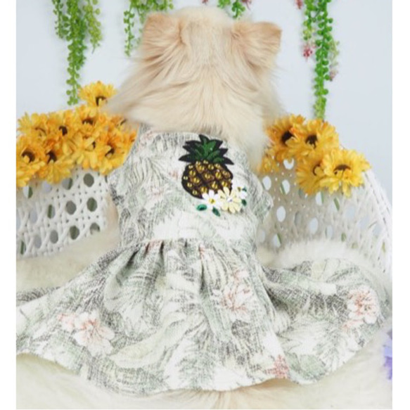 ワンピース 春夏 トップス ボタニカル ドッグウェア かわいい 小型犬 中型犬 犬服 猫服 ペット P119 6枚目の画像