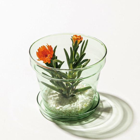 【ガラスの癒し雑貨】ガラスの植木鉢 18枚目の画像