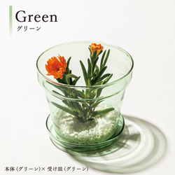 【ガラスの癒し雑貨】ガラスの植木鉢 9枚目の画像