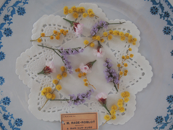 ドライフラワー　ミモザ スターチス　ｓｅｔ　 キャンドル　ハーバリウム　レジン　素材　花材　封入　 2枚目の画像