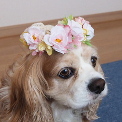 【再販】ペット用アクセサリー　ピンクローズの花かんむり 7枚目の画像