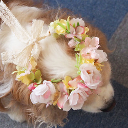 【再販】ペット用アクセサリー　ピンクローズの花かんむり 6枚目の画像