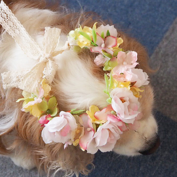 【再販】ペット用アクセサリー　ピンクローズの花かんむり 6枚目の画像