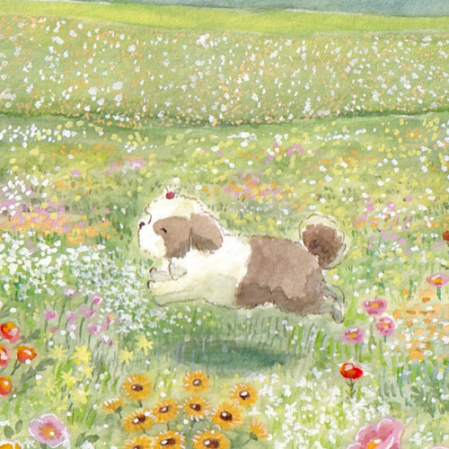 春の草原【花とシーズー犬】 絵画 kuro 通販 15679305｜Creema