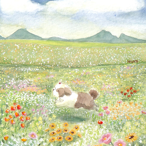 春の草原【花とシーズー犬】 絵画 kuro 通販 15679305｜Creema