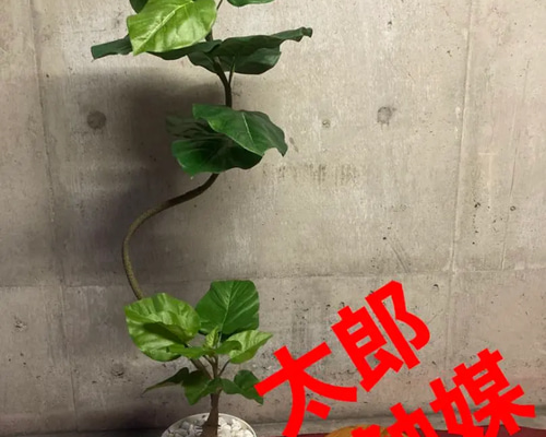 光触媒 人工観葉植物 ウォールグリーン フェイクグリーン フラワー