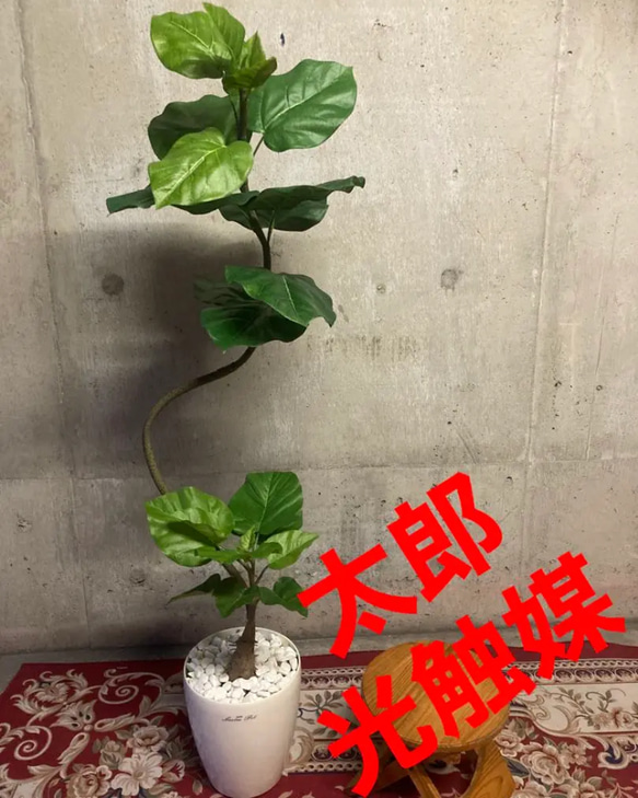 光触媒　人工観葉植物　ウォールグリーン　フェイクグリーン　ウンベラータgtj