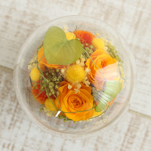 オレンジのプリザーブドローズ ガラスドーム入り fit=scale-down,w=1200