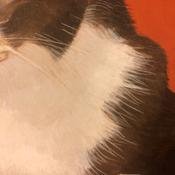 猫イラスト「ウメ3」原画 3枚目の画像