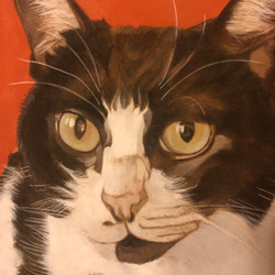 猫イラスト「ウメ3」原画 2枚目の画像