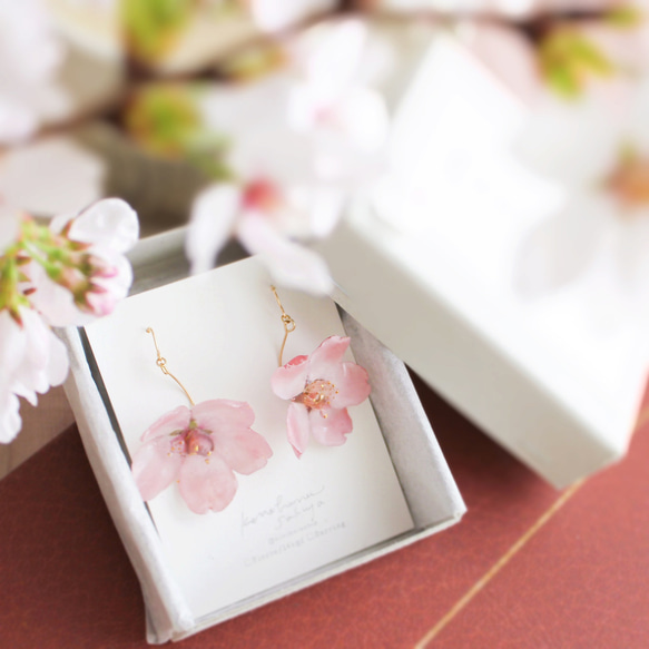 一輪咲 本物の桜のピアス｜イヤリング｜No.186 4枚目の画像