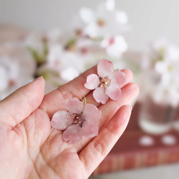 一輪咲 本物の桜のピアス｜イヤリング｜No.186 11枚目の画像