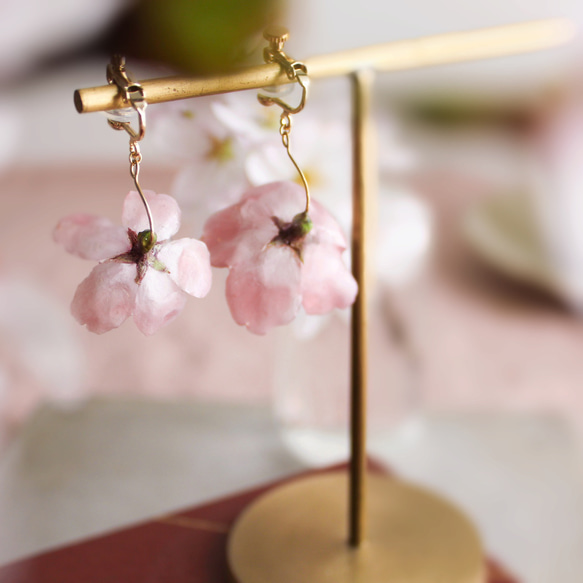 一輪咲 本物の桜のピアス｜イヤリング｜No.186 14枚目の画像