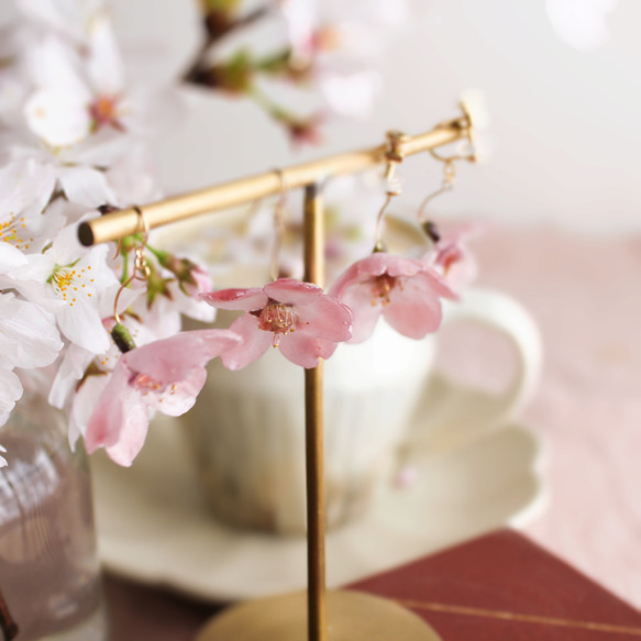一輪咲 本物の桜の14kgfピアス｜イヤリング｜No.186 15枚目の画像